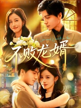 资源《不败龙婿》的海报