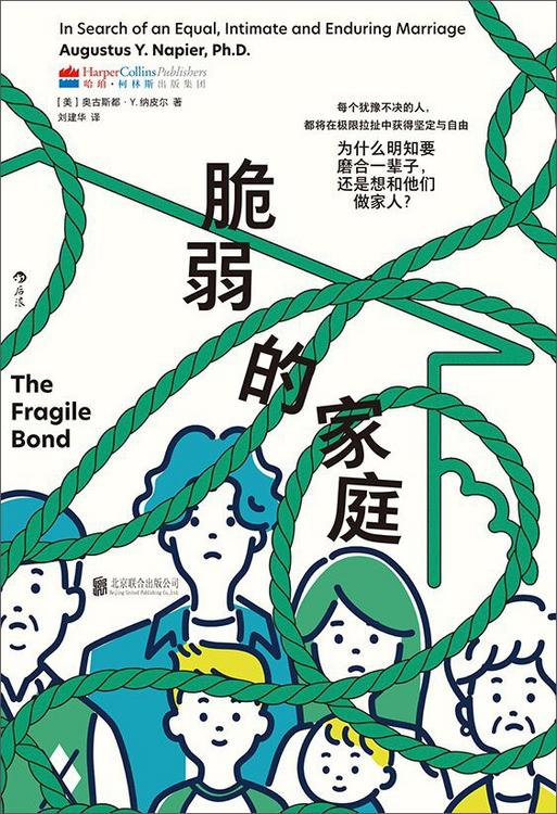 资源《脆弱的家庭：为什么明知要磨合一辈子，还是想和他们做家人 [人文社科] [pdf+全格式]》的海报