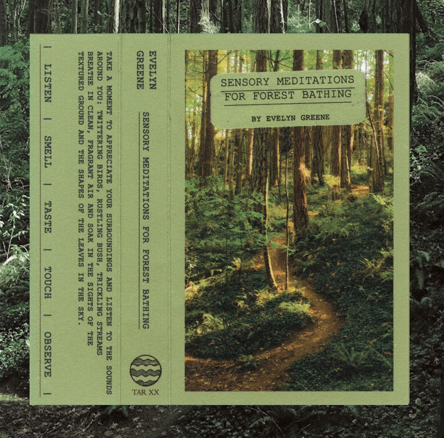 资源《Evelyn Greene - Sensory Meditations For Forest Bathing (2025) FLAC 24bit 44kHz》的海报