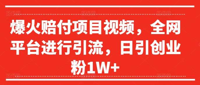 资源《爆火赔付项目视频，全网平台进行引流，日引创业粉1W+【揭秘】》的海报