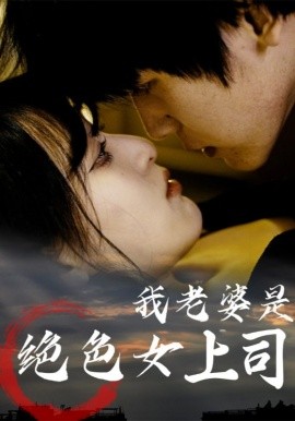 资源《我老婆是绝色女上司》的海报