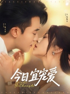 资源《今日宜宠爱》的海报
