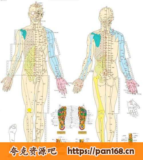 资源《最全高清人体穴位图及穴位图解大全》的海报
