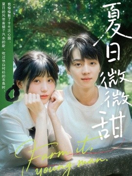 资源《夏日微微甜》的海报