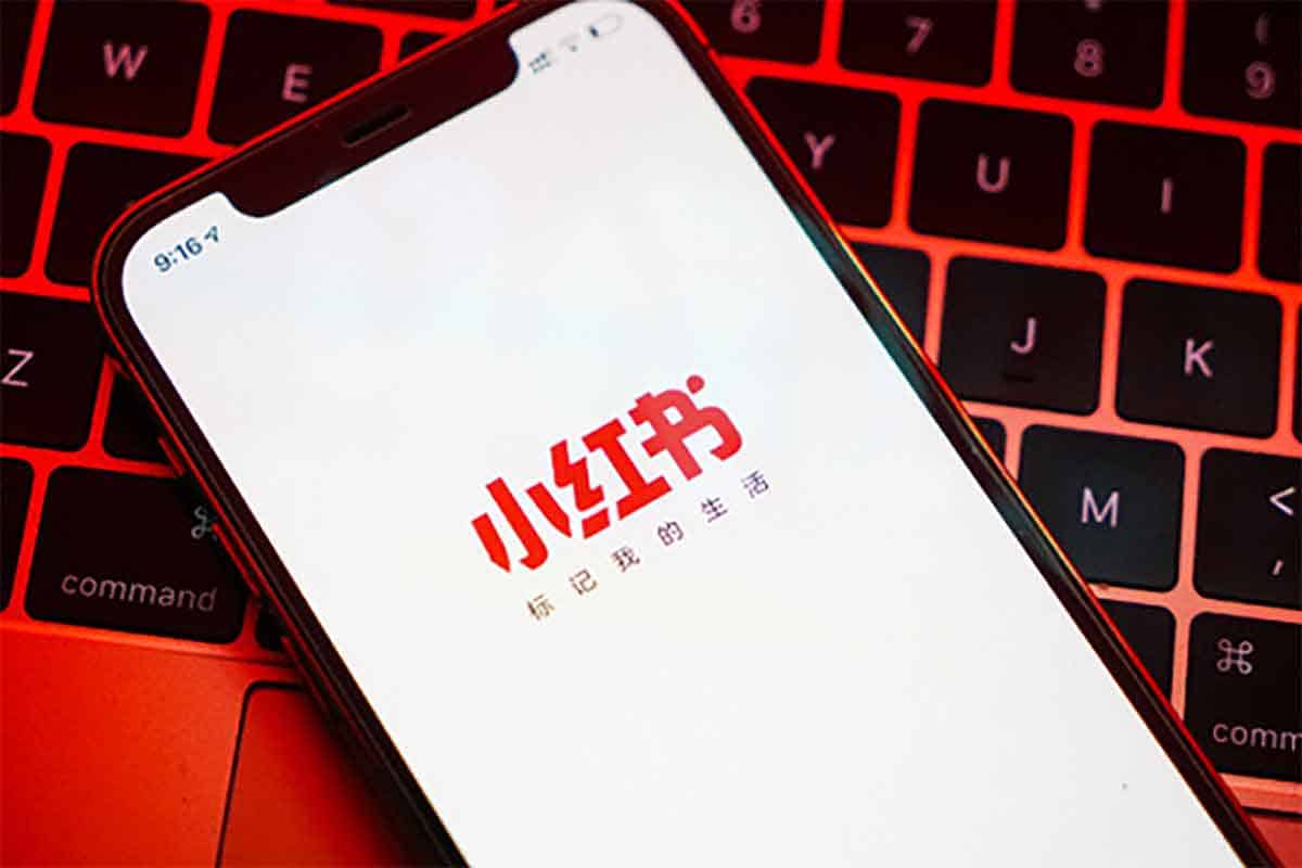 资源《【 28天小红书博主IP特训营】（第3期）实战经验，快速涨粉，迅速变现》的海报