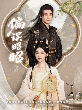 资源《偏误昭昭》的海报
