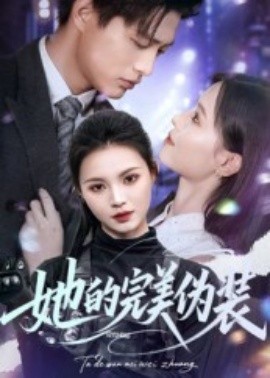 资源《她的完美伪装》的海报