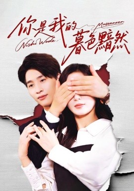 资源《你是我的暮色黯然》的海报