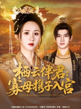 资源《栖云伴君：寡母携子入宫》的海报