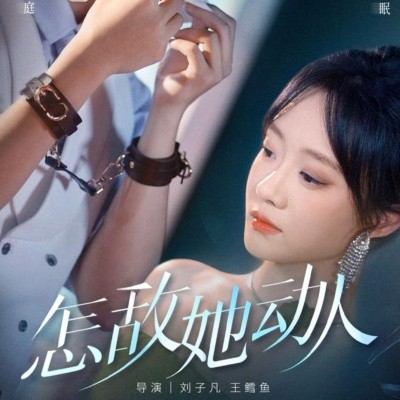 资源《怎敌她动人》的海报