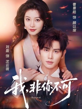 资源《我，非你不可》的海报