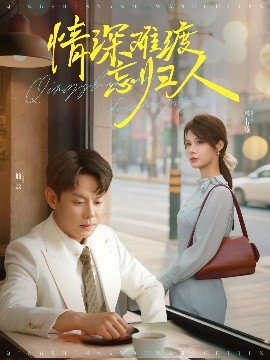 资源《情深难渡忘归人》的海报