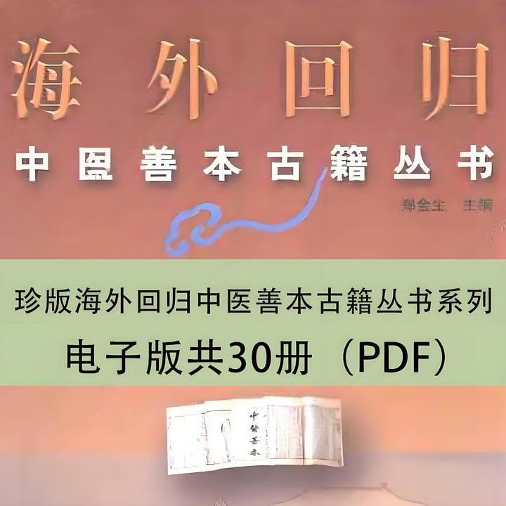 资源《珍版海外回归中医善本古籍丛书系列》的海报