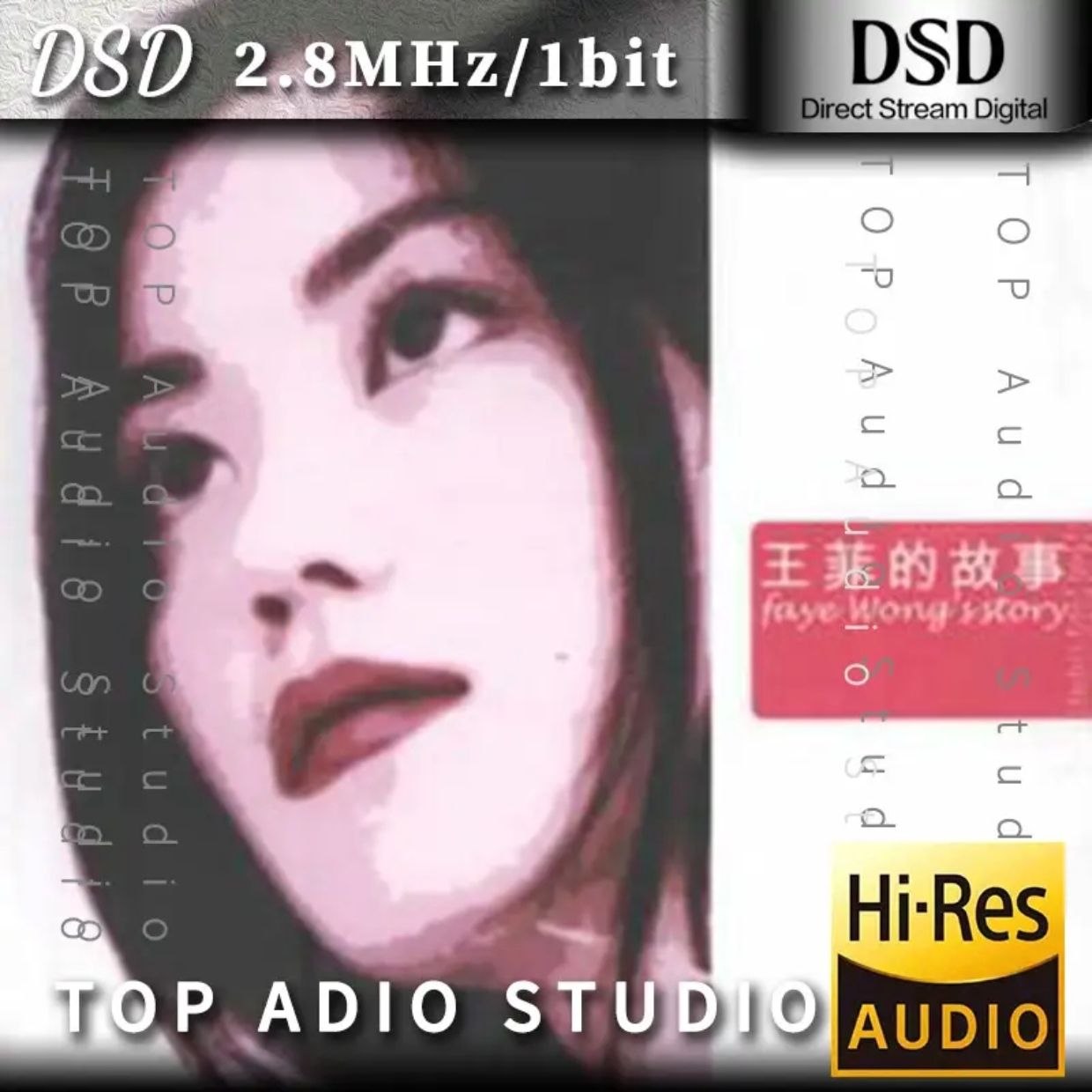 资源《王菲的故事 dsd》的海报