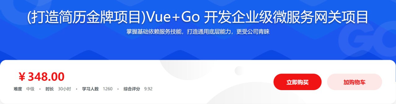 资源《Vue+Go 开发企业级微服务网关项目 - 带源码课件》的海报