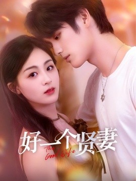 资源《好一个贤妻》的海报