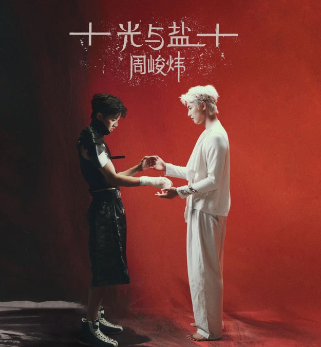 资源《周峻纬 - 光与盐 2026 FLAC》的海报