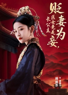 资源《贬妻为妾，医女竟是长公主》的海报