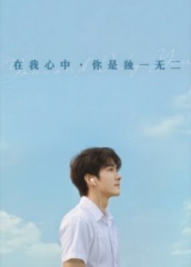 资源《在我心中你是独一无二》的海报