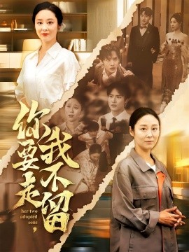 资源《你要走，我不留》的海报