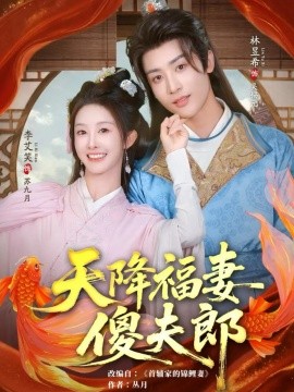 资源《天降福妻傻夫郎》的海报