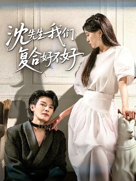 资源《沈先生我们复合好不好》的海报