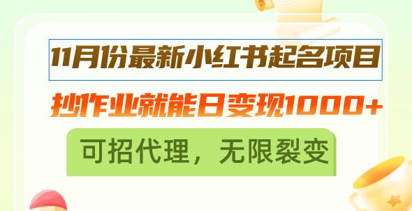 资源《11月份最新小红书起名项目，可招代理，无限裂变【揭秘】》的海报
