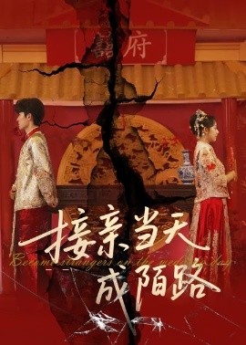 资源《接亲当天成陌路》的海报
