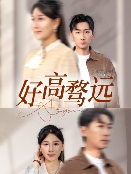 资源《好高骛远》的海报