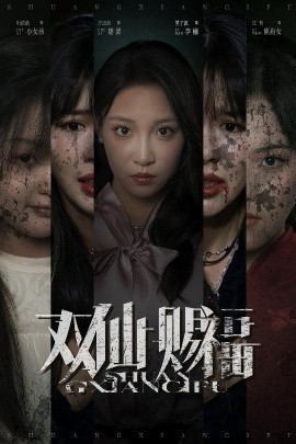 资源《双仙赐福》的海报