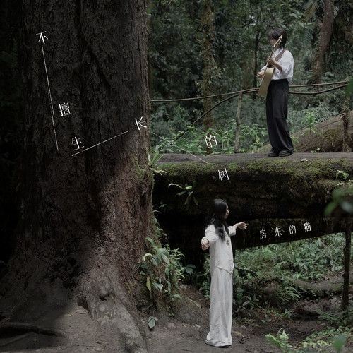 资源《房东的猫 不擅生长的树 (Isness) (2026) FLAC 24bit 48khz 13首》的海报