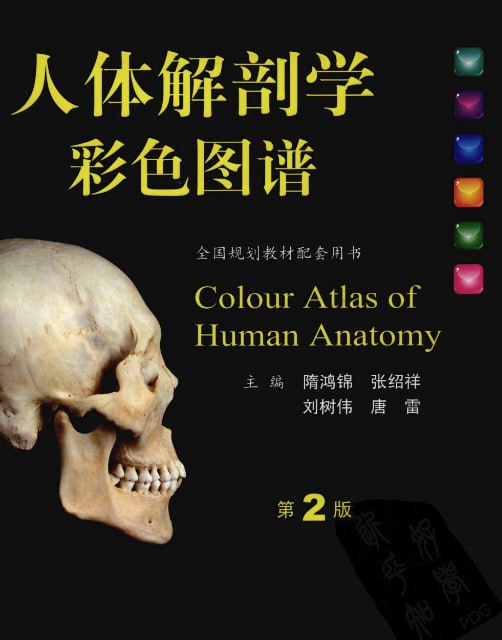 资源《《人体解剖学彩色图谱》精选581幅标本 人体解剖结构[pdf]》的海报
