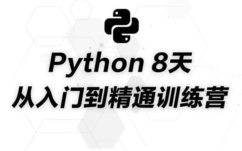 资源《路飞学院-小白入门 Python八天训练营课程》的海报