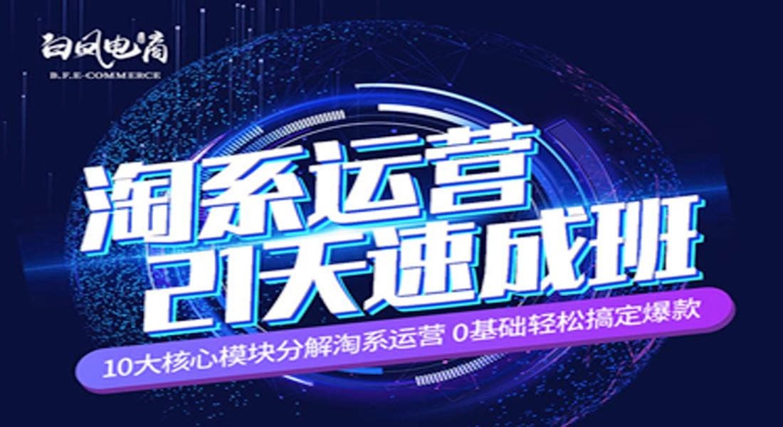 资源《白凤电商：淘系运营21天速成班》的海报