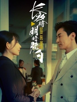资源《长夜将明暗既白》的海报