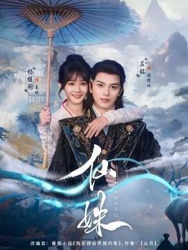 资源《仙姝》的海报