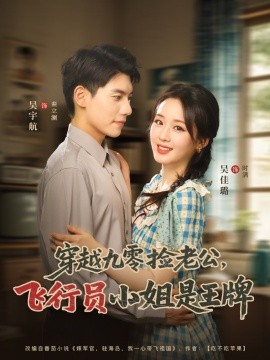 资源《穿越九零捡老公，飞行员小姐是王牌》的海报