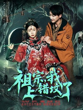 资源《祖宗，我上错坟了》的海报