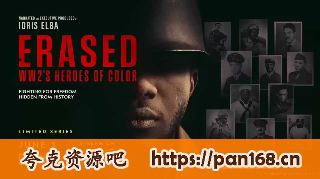 资源《被隱於世：英雄有色 (2024) 1080P 英语中字 全4集》的海报