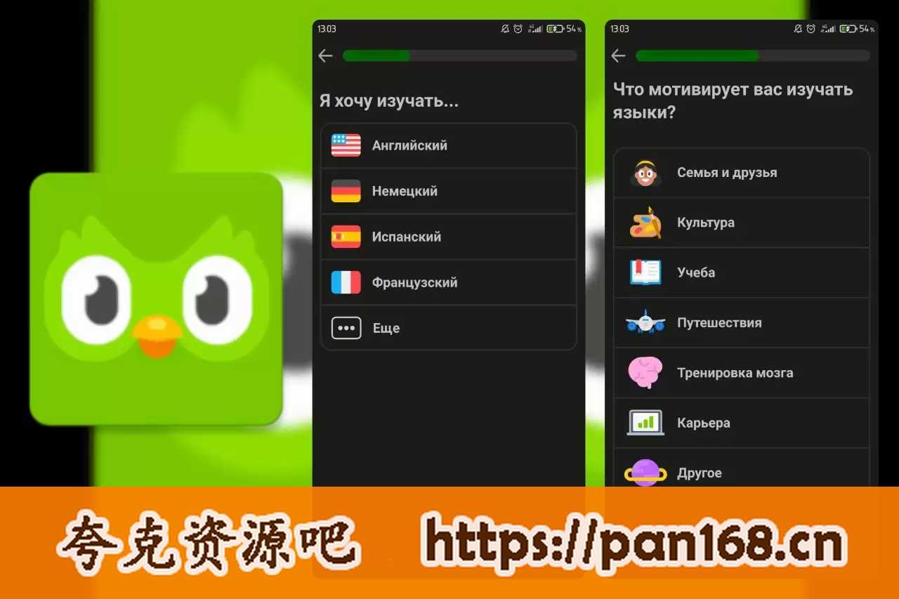 资源《Duolingo - 多邻国高效学外语 v6.17.3》的海报