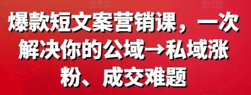 资源《爆款短文案营销课 一次解决你的公域 私域涨粉、成交难题》的海报