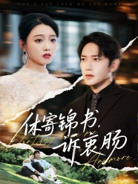 资源《休寄锦书，诉衷肠》的海报