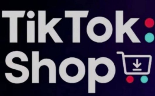 资源《TikTokShop跨境电商0-1实战，手把手教你低成本启动海外市场【970MB/MP4】》的海报
