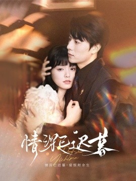 资源《情深已迟暮》的海报