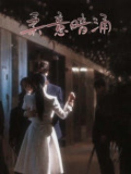 资源《柔意暗涌》的海报