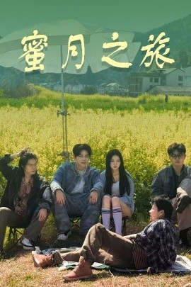 资源《蜜月之旅》的海报
