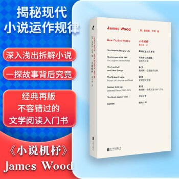 资源《《小说机杼》不容错过的文学阅读入门书》的海报