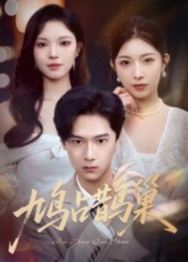 资源《鸠占鹊巢&顶流夫人的致命陷阱》的海报