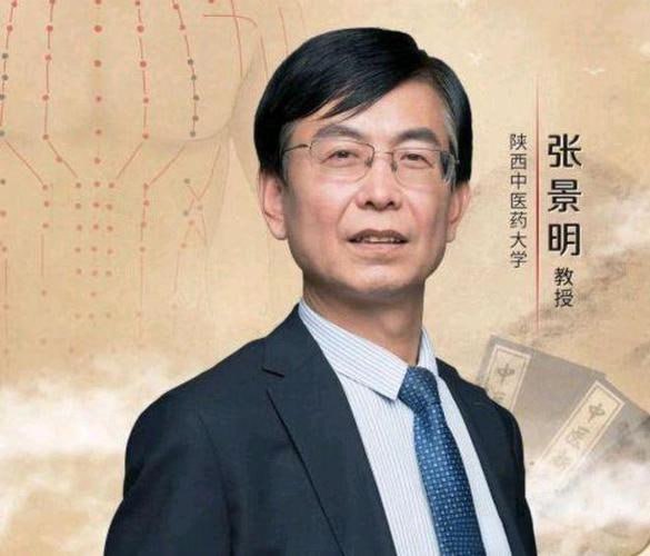 资源《张景明中医合集》的海报