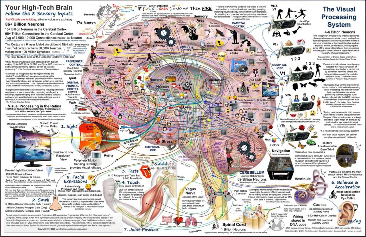 资源《人类大脑功能高清图解-The Highest of The Mountains》的海报